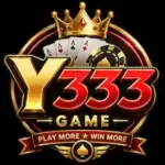 Y333 Game
