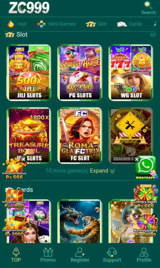 zc999 game